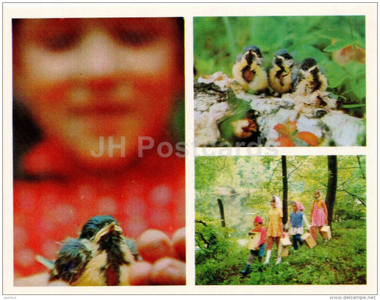 nesting box - birds - Nature Encounter - 1973 - Russia USSR - unused - JH Postcards