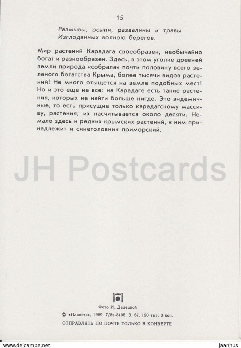 Karadag - Houx de mer - Eryngium maritimum - plantes - Crimée - 1989 - Ukraine URSS - inutilisé