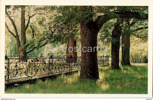 Lomonosov - Railings of the Chinese Garden - Russia USSR - unused - JH Postcards