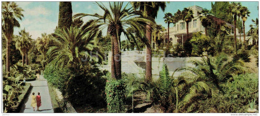 The Dendrarium - palm trees - Sochi - Caucasus - 1966 - Russia USSR - unused - JH Postcards