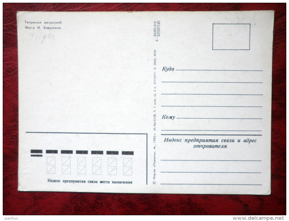 Siberian Tiger - Amur Tiger - Panthera tigris altaica - animals - 1982 - Russia - USSR - used - JH Postcards