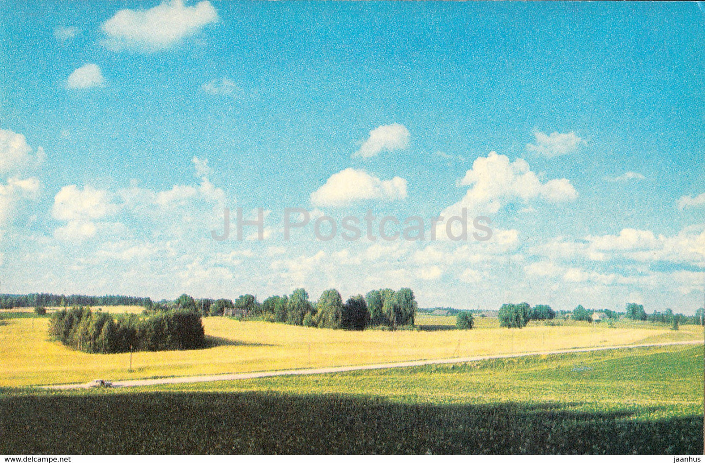 The Gauja National Park - View near Cesu Limbazu Road - 1976 - Latvia USSR - unused - JH Postcards