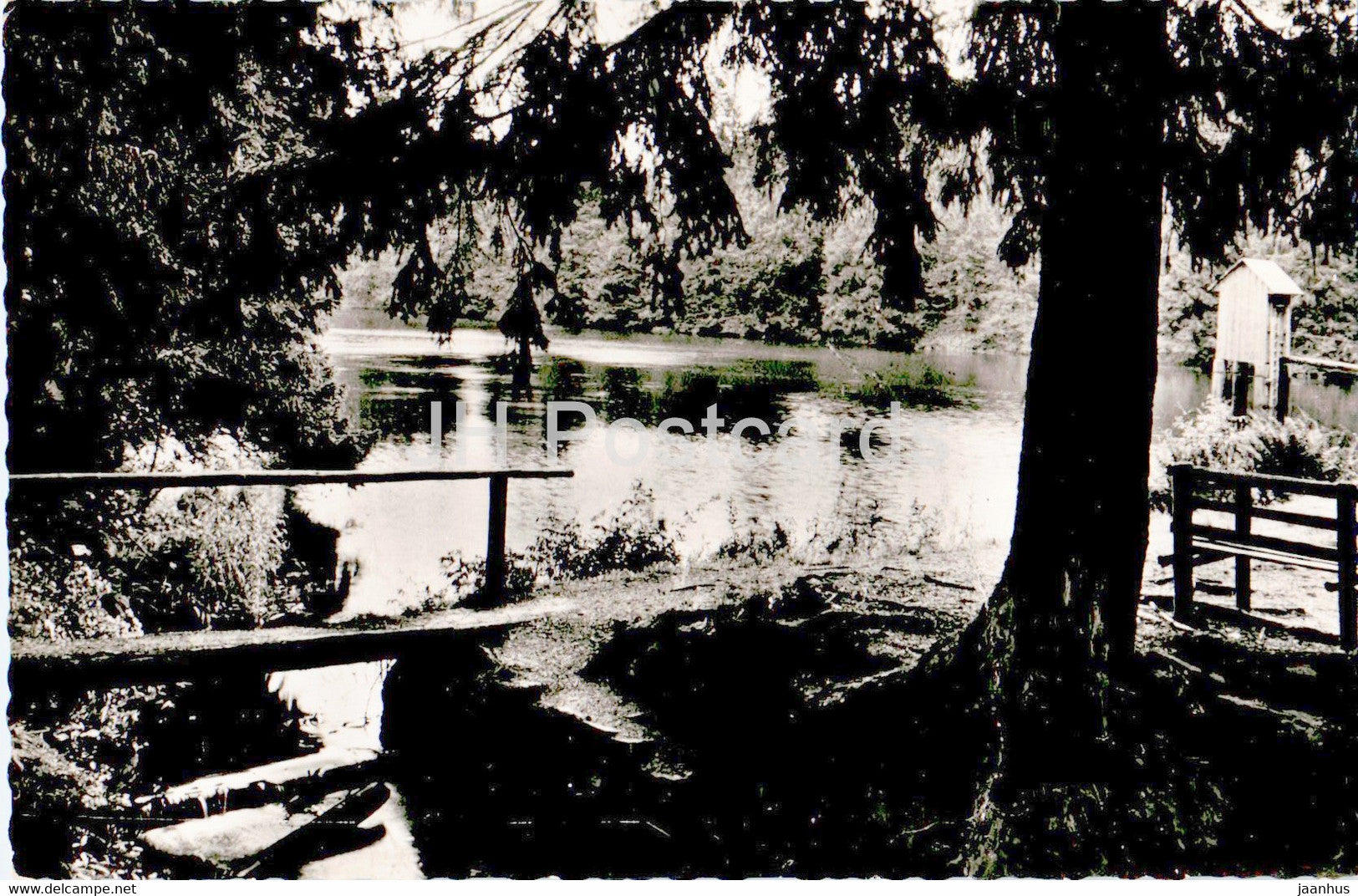 Wildemann i Oberharz - Spiegeltaler Teich - old postcard - 1955 - Germany - used - JH Postcards