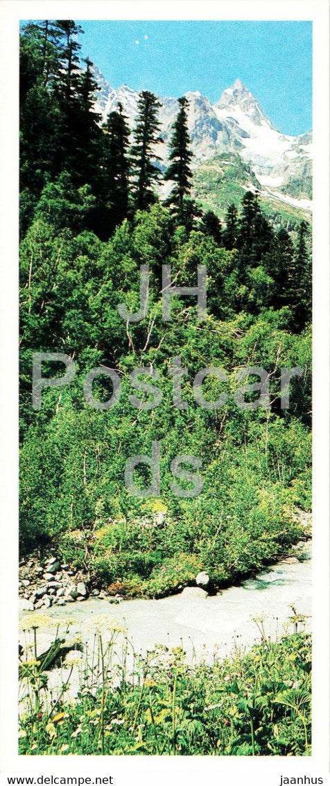 Teberda Nature Reserve - Mountain view - 1982 - Russia USSR - unused - JH Postcards