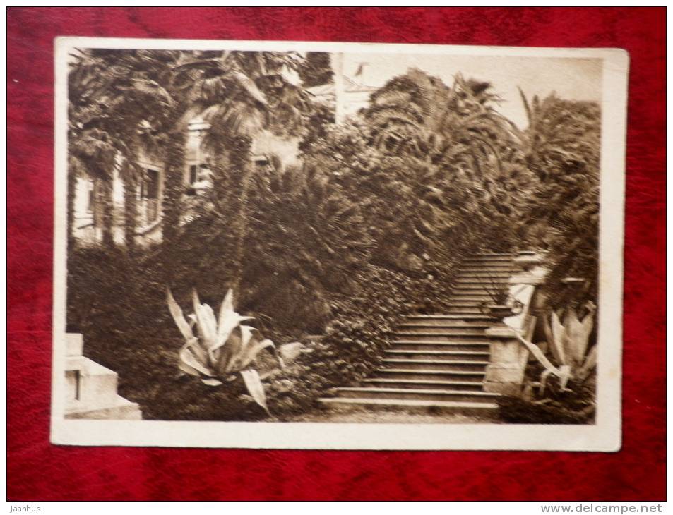 Sochi - park of the agricultural experiment station. The museum stairs - old postcard - Russia - USSR - unused - JH Postcards