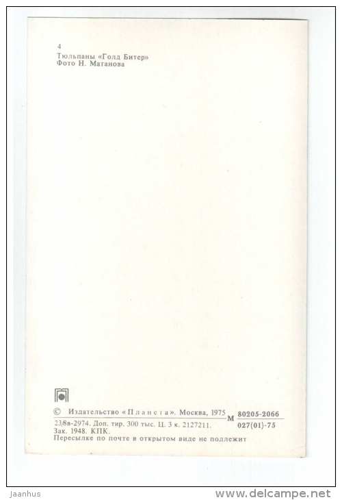 Gold Biter - Tulips - 1975 - Russia USSR - unused - JH Postcards