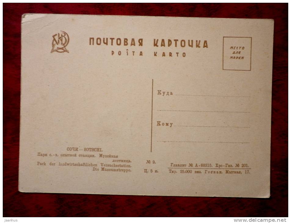 Sochi - park of the agricultural experiment station. The museum stairs - old postcard - Russia - USSR - unused - JH Postcards