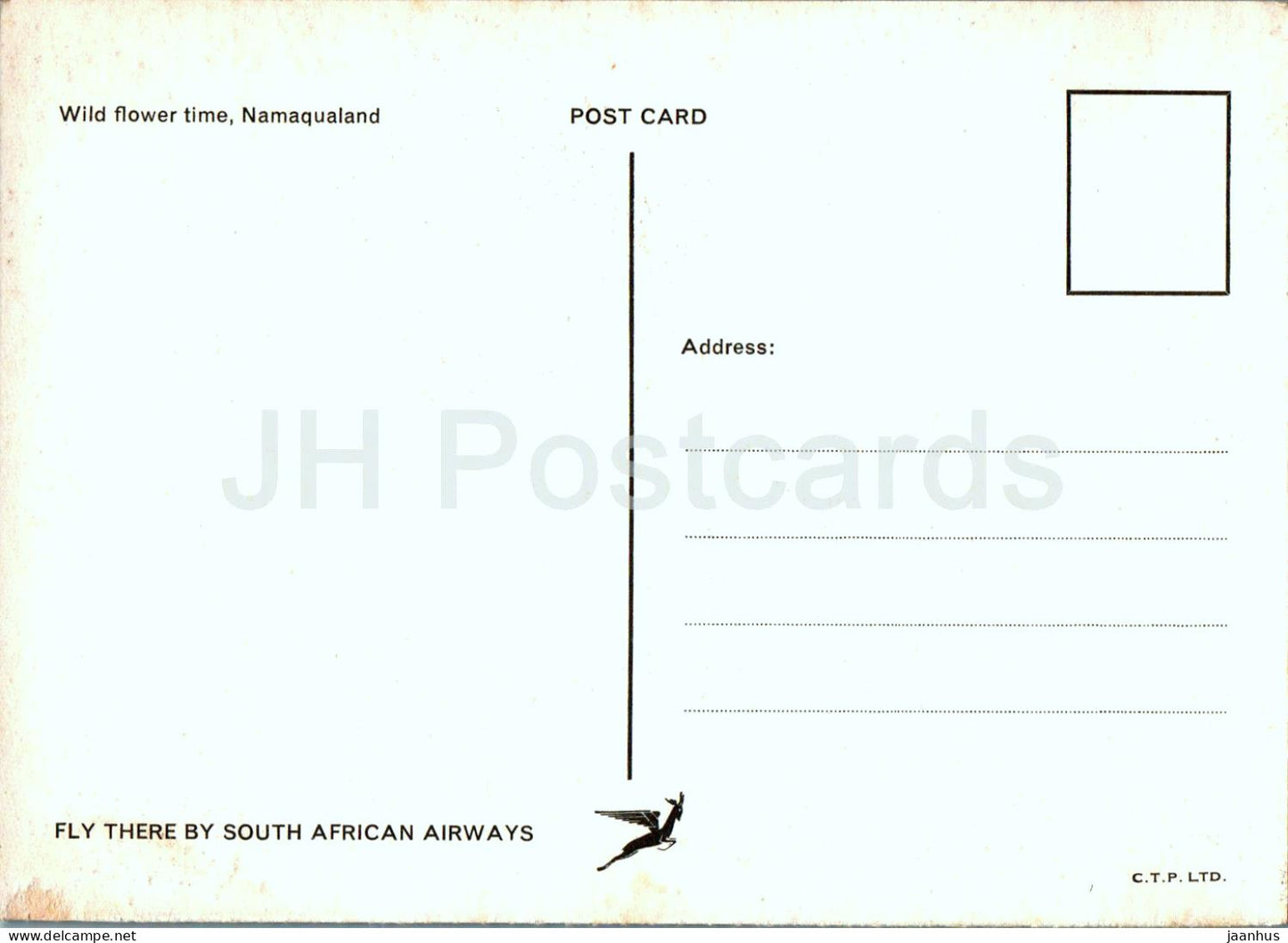 Temps des fleurs sauvages - Namaqualand - voiture - Afrique du Sud - inutilisé 