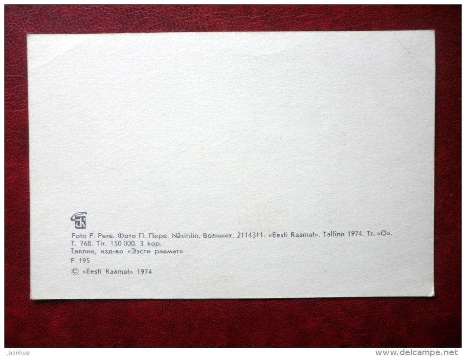 Greeting Card - daphne - plant - 1974 - Estonia USSR - unused - JH Postcards