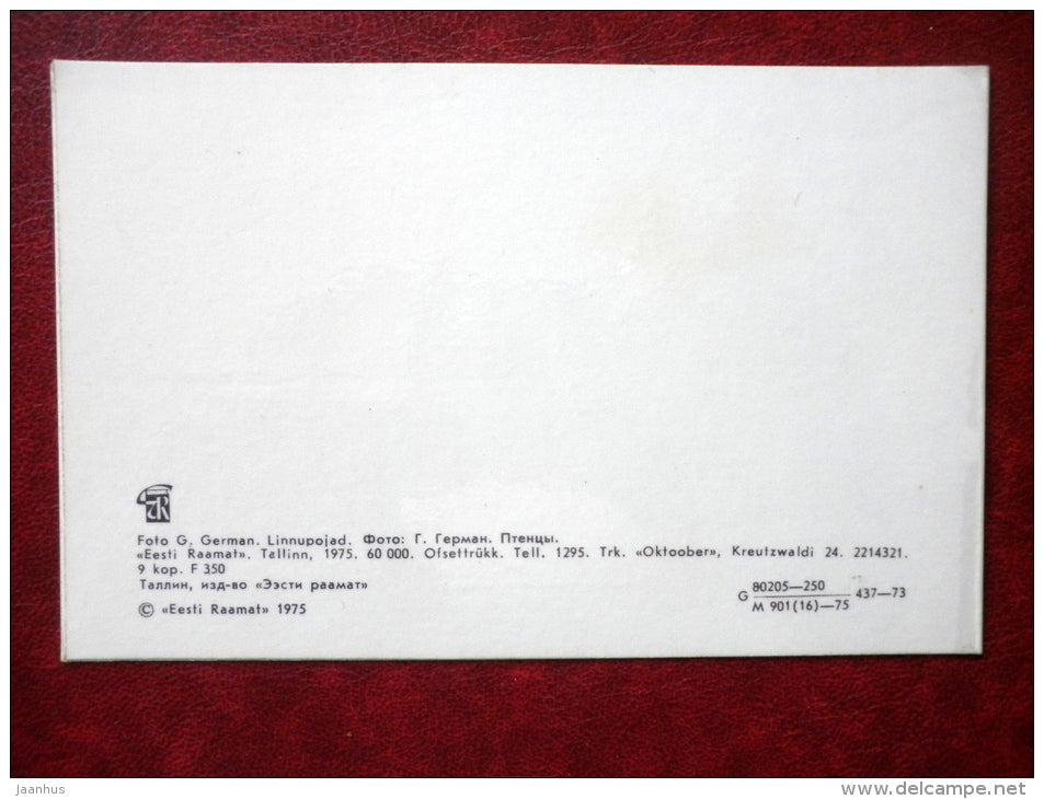 nestlings - Birds - 1975 - Estonia USSR - used - JH Postcards
