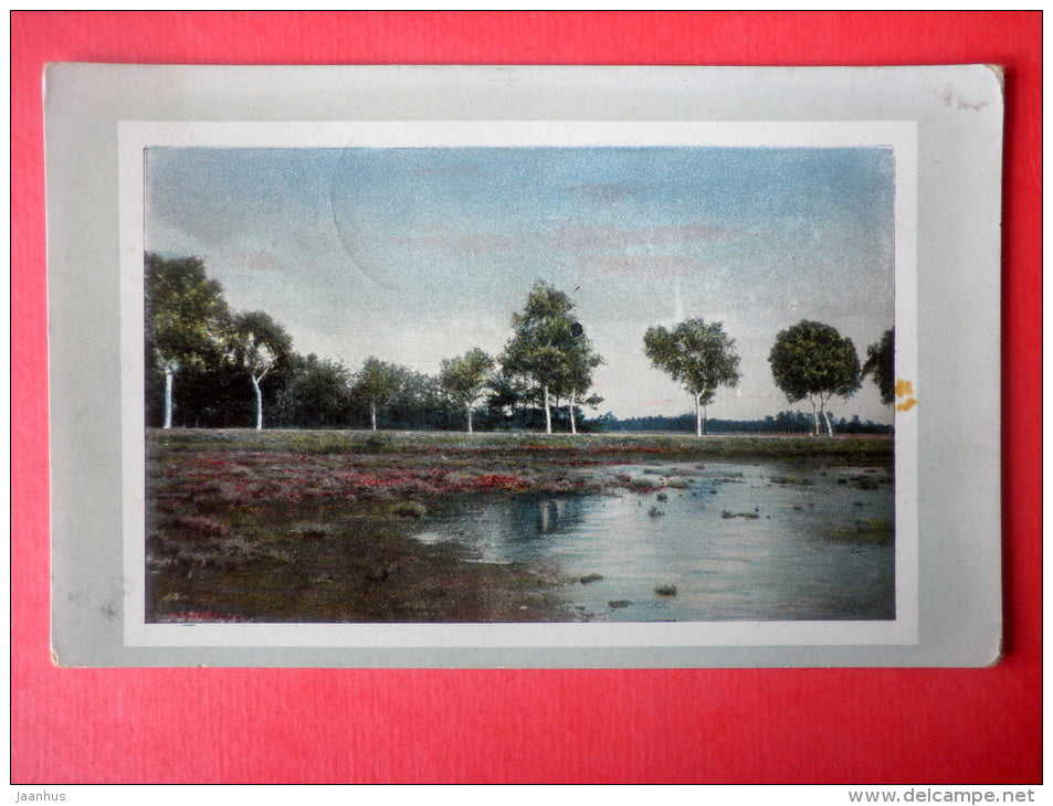 photograph - river - trees - 1033/4 - circulated in Estonia Võsu Imperial Russia 1912 - JH Postcards