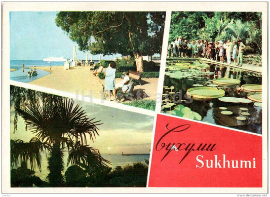 Primorsky boulevard - Botanical Garden - Sukhumi - Abkhazia - 1968 - Georgia USSR - unused - JH Postcards