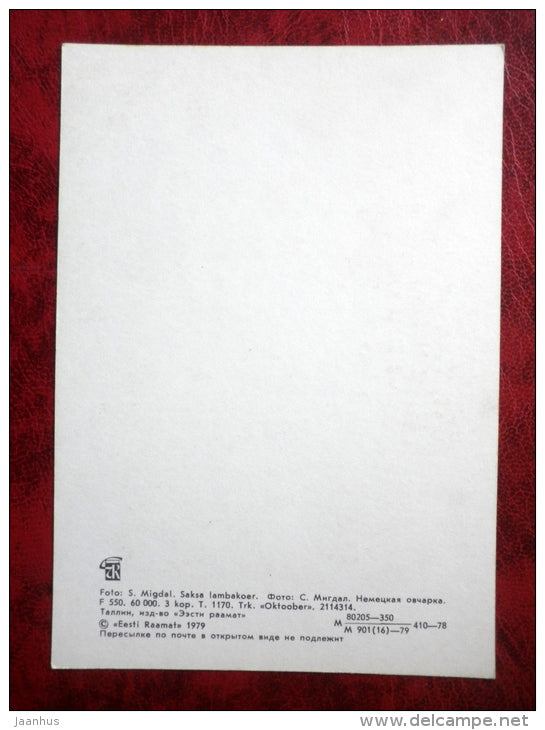 German Shepherd Dog - dogs - animals - 1979 - Estonia - USSR - unused - JH Postcards